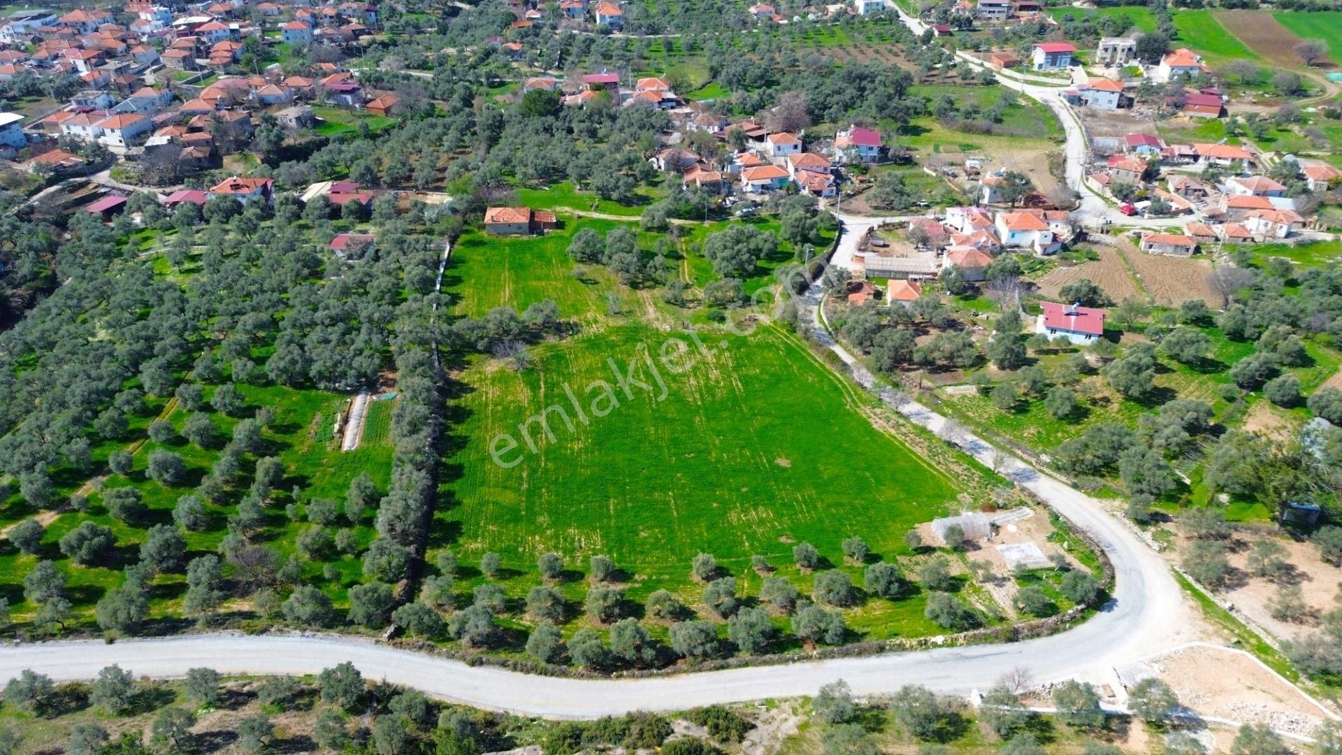 Kaçırılmaycak Fırsat Milas Çamköy'de 3000 M² Konut İmarlı Arsa - Görsel 8