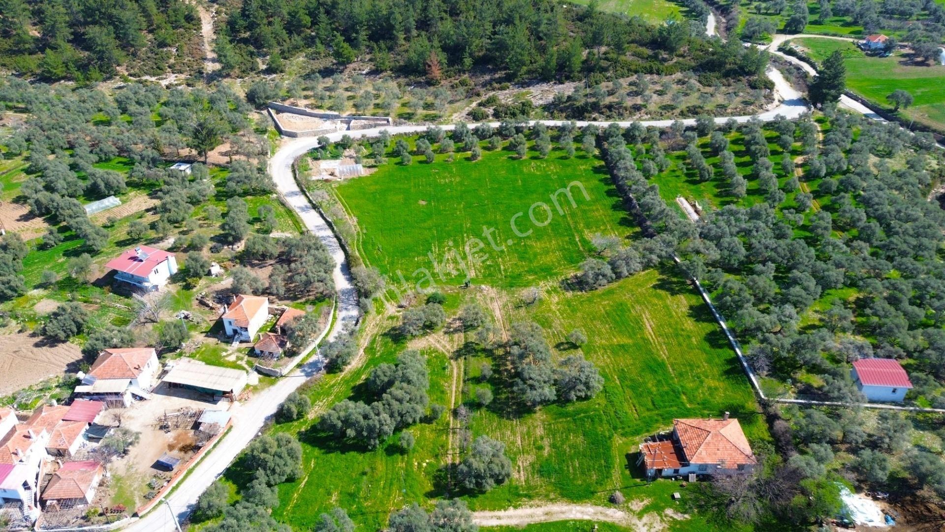 Kaçırılmaycak Fırsat Milas Çamköy'de 3000 M² Konut İmarlı Arsa - Görsel 5