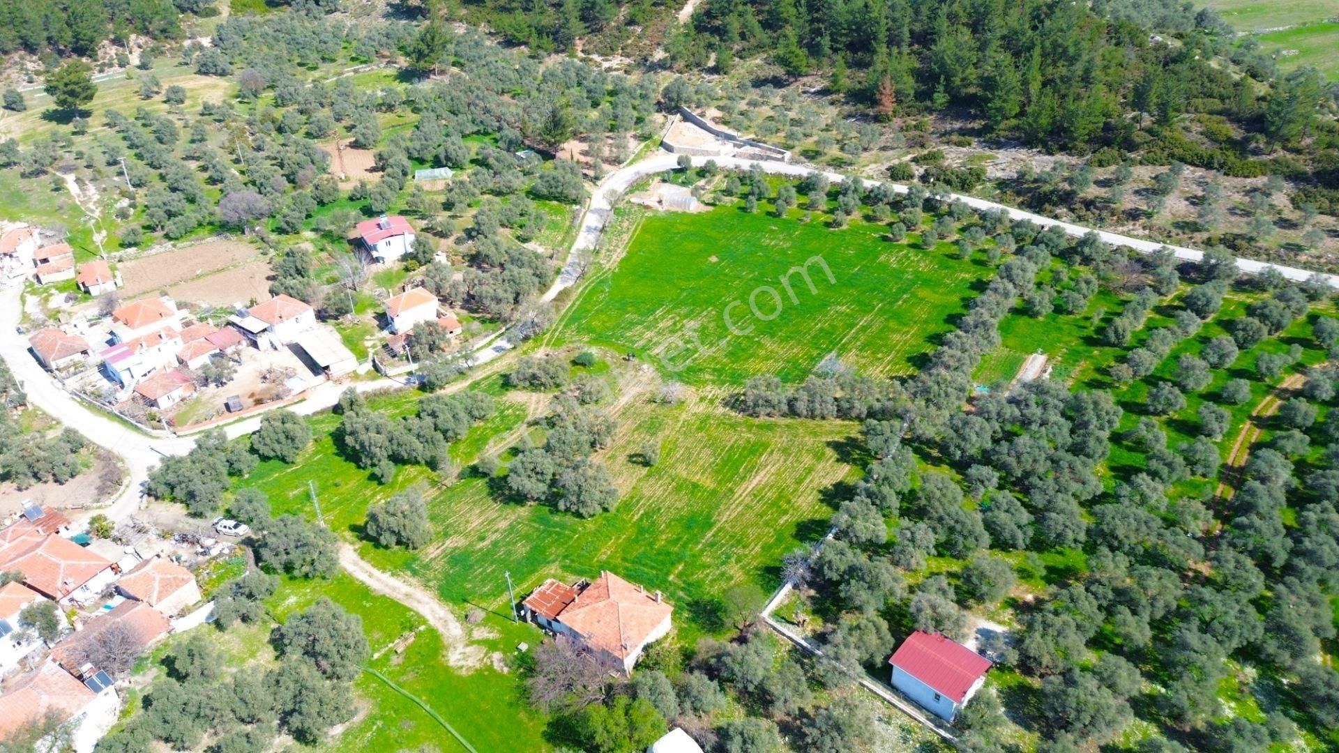 Kaçırılmaycak Fırsat Milas Çamköy'de 3000 M² Konut İmarlı Arsa - Görsel 4