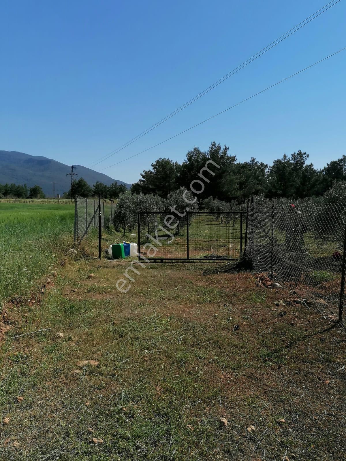 Seydikemer Kayadibi Mahallesi 3500 M2 Satılık Tarla - Görsel 12