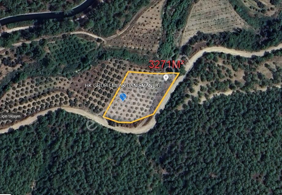 Seydikemer Atlıdere Satılık Tarla   SEYDİKEMER S.ATLIDERE MAHALLESİNDE İÇERİSİNDE ZEYTİN OLAN 3721 M² MÜSTAKİL TAPULU TARLA SATILIKTIR