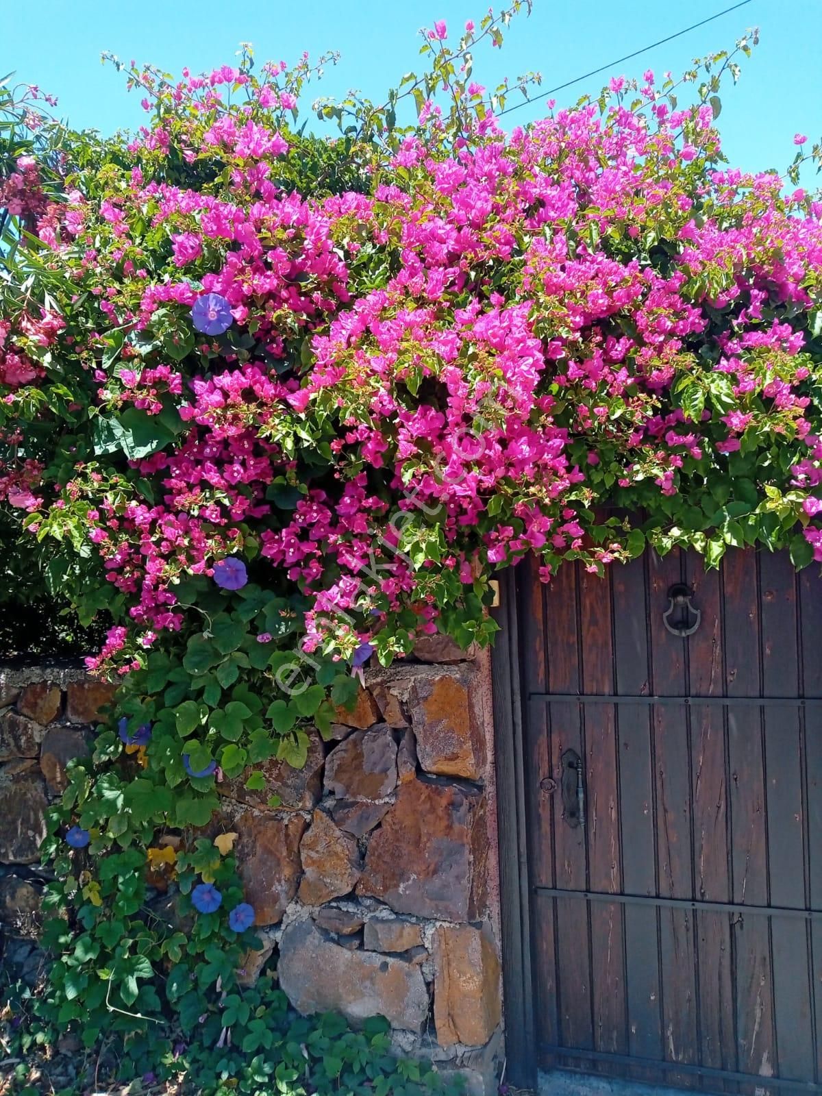 Bodrum Türkkuyusu Satılık Villa  BODRUM TURGUT REİS'DE SATILIK MÜSTAKİL VİLLA