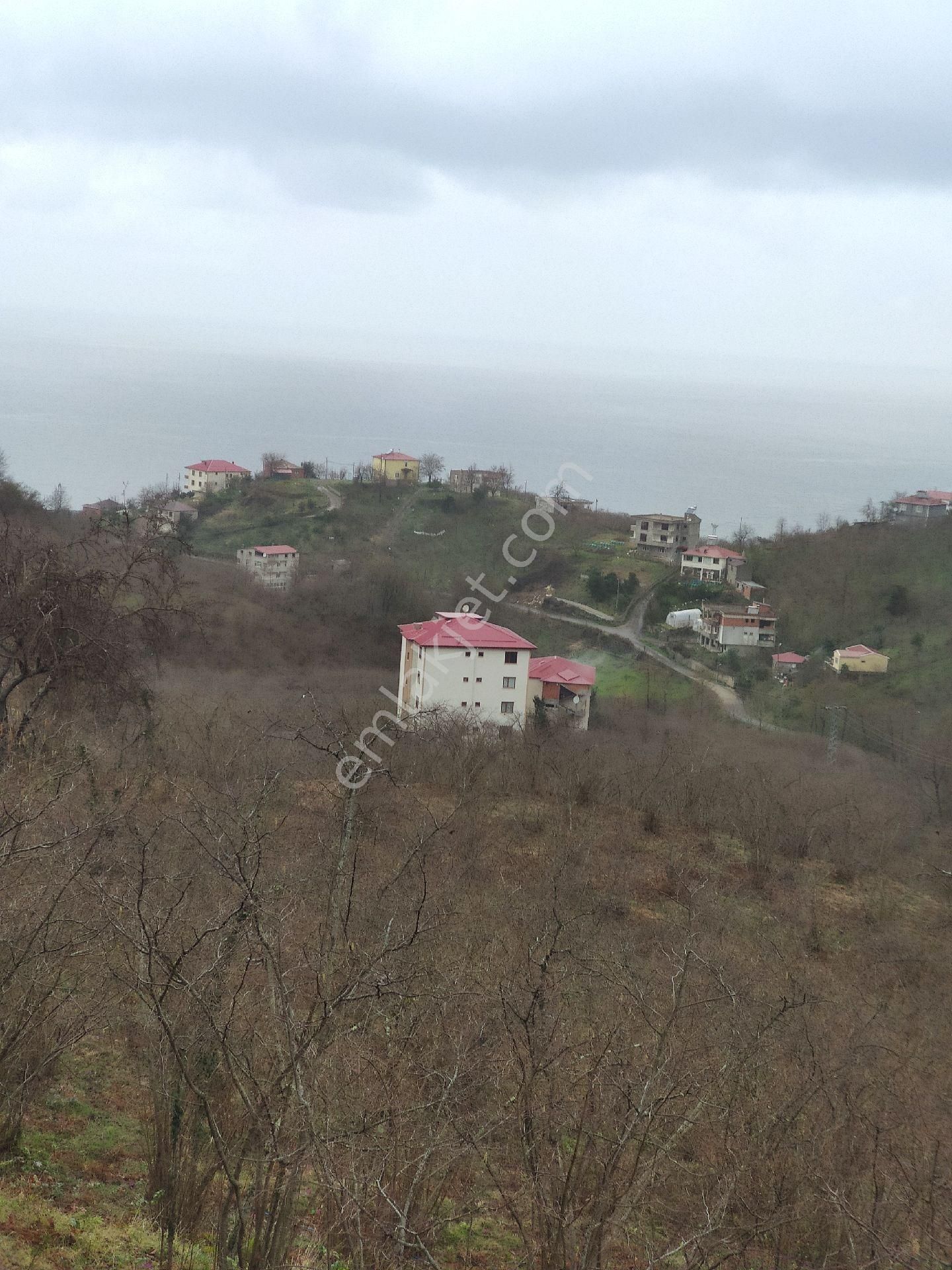 Tirebolu Özlü Köyü (Naipli) Satılık Bağ & Bahçe DENİZ MANZARALI VİLLALIK BAHÇE 