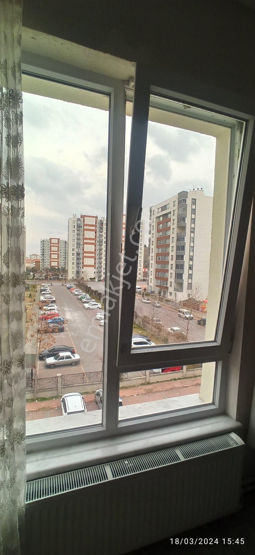 Yeniköyün İncisi - Görsel 6