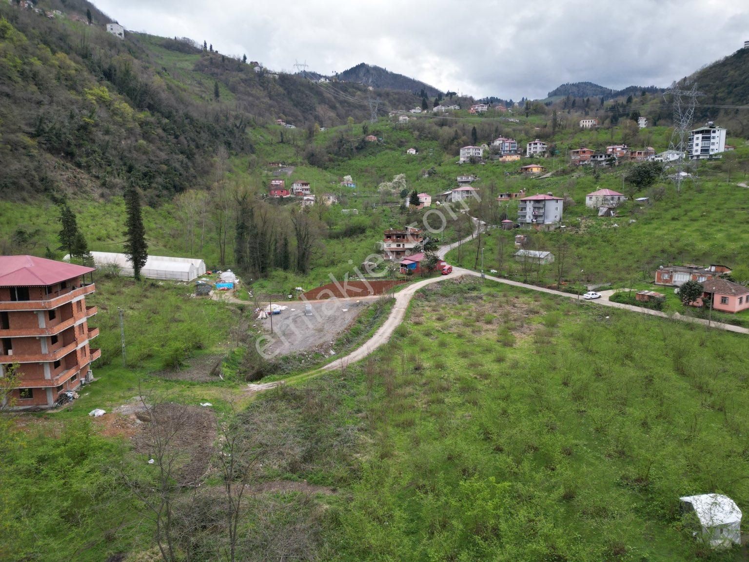 Ortahisar İncesu Satılık Bağ & Bahçe İNCESUDA YATIRIMLIK 4 DÖNĞM ARSA