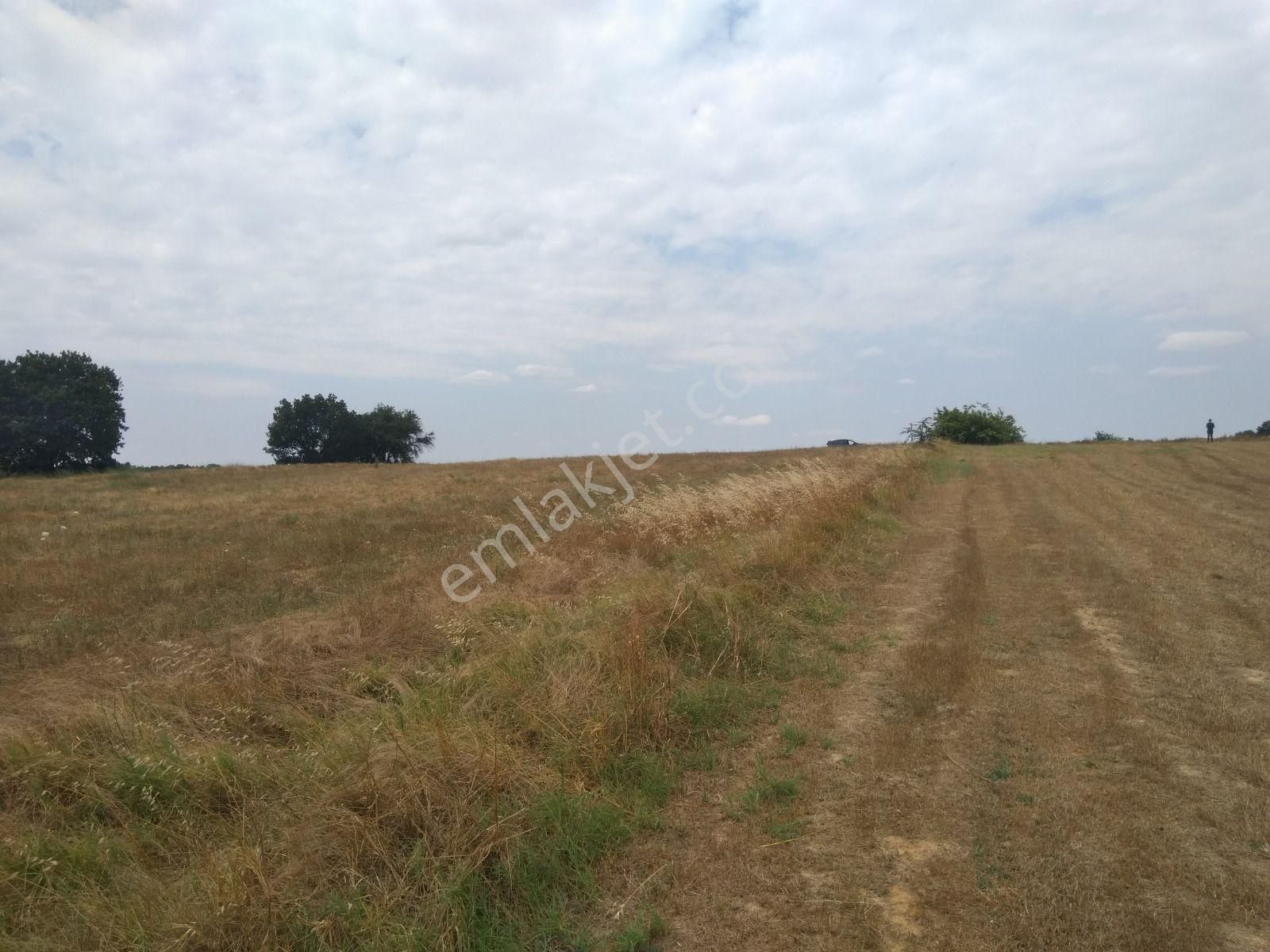 Uzunköprü Ömerbey Köyü Satılık Tarla Edirne Uzunköprü Ömerbey Mah. 3250 M2 Tarla 420 Bin Tl En Uygun Fiyat