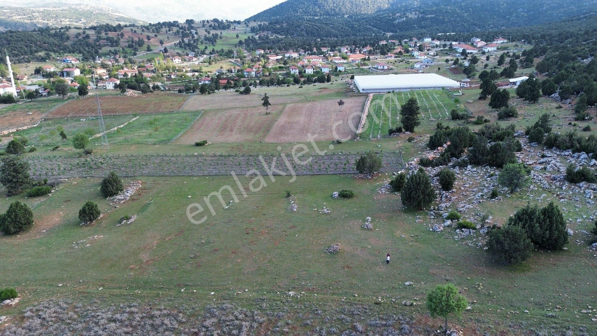 Seydikemer Boğalar Satılık Tarla  SEYDİKEMER YAYLA BOĞALAR'DA SATILIK 2725 M2 TARLA ANA YOL'A YERLEŞİM ALANINA  150 METRE MESAFEDEDİR