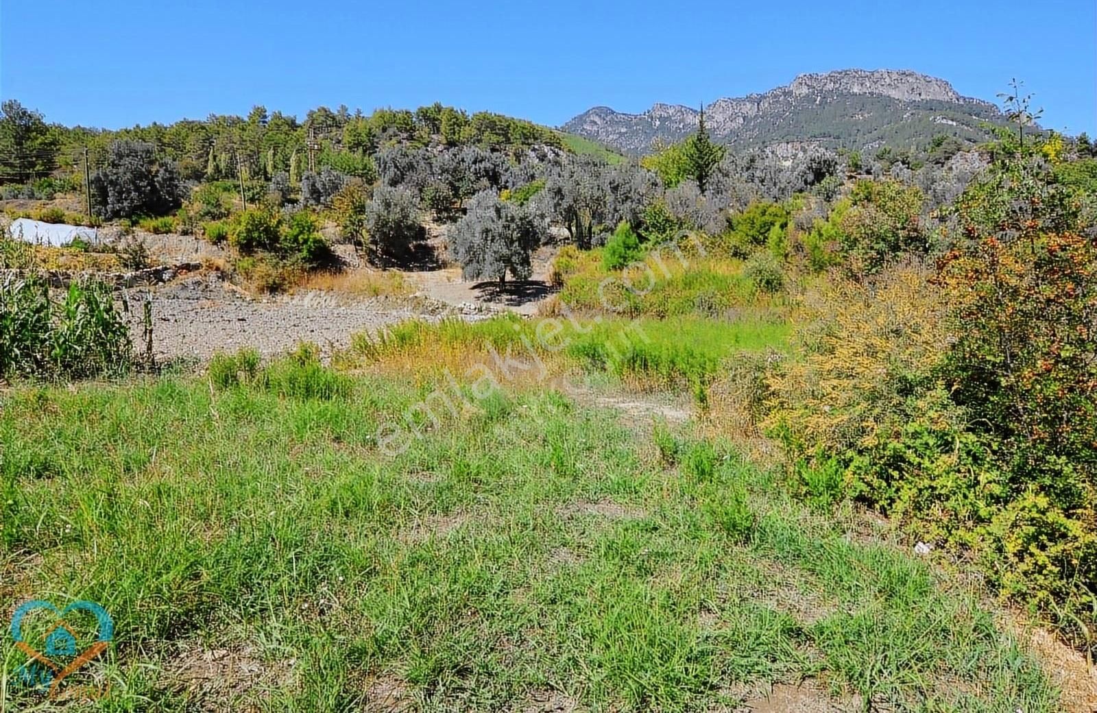 Seydikemer Söğütlüdere Satılık Konut İmarlı Mykonut'tan Seydikemer Söğütlüdere' De 2,456 M2 Satılık Tarla