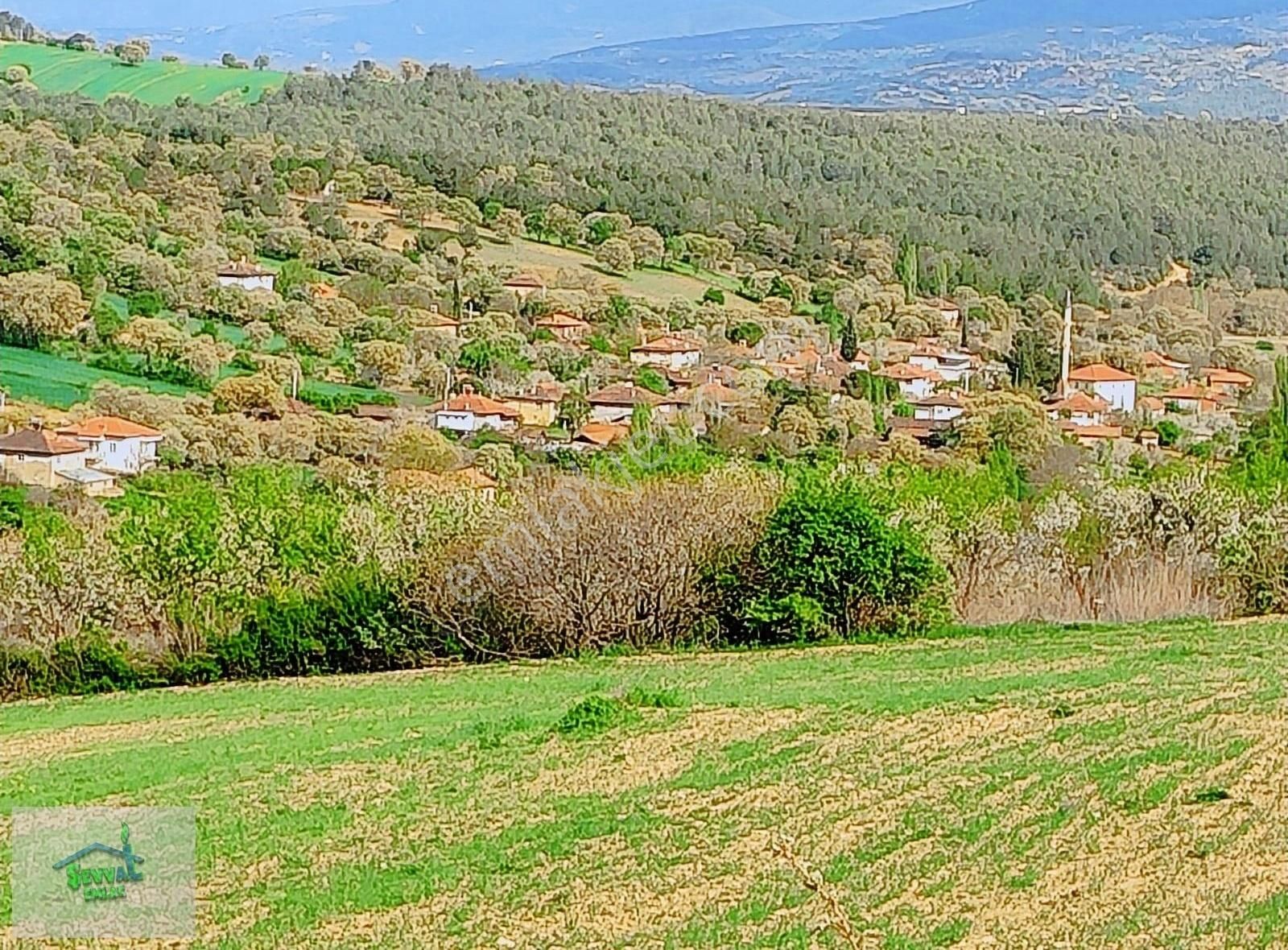 Gediz Ilıcasu Köyü Satılık Bağ & Bahçe KÜTAHYA GEDİZ ILICASU KÖYÜNDE 6.829M² BAHÇEMİZ SATILIKTIR