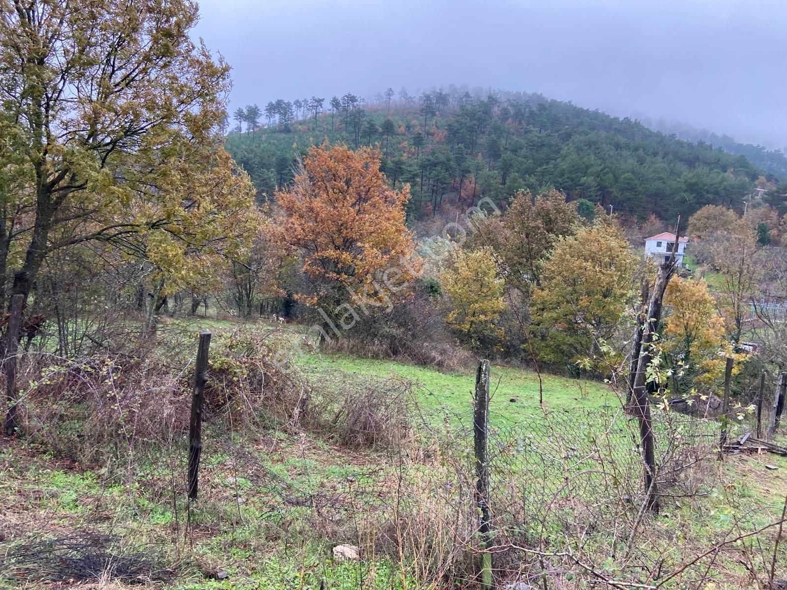 Bayındır Alankıyı Köyü 210 Ada 4 Parsel 1123 M2 Satılık Tarla - Görsel 27