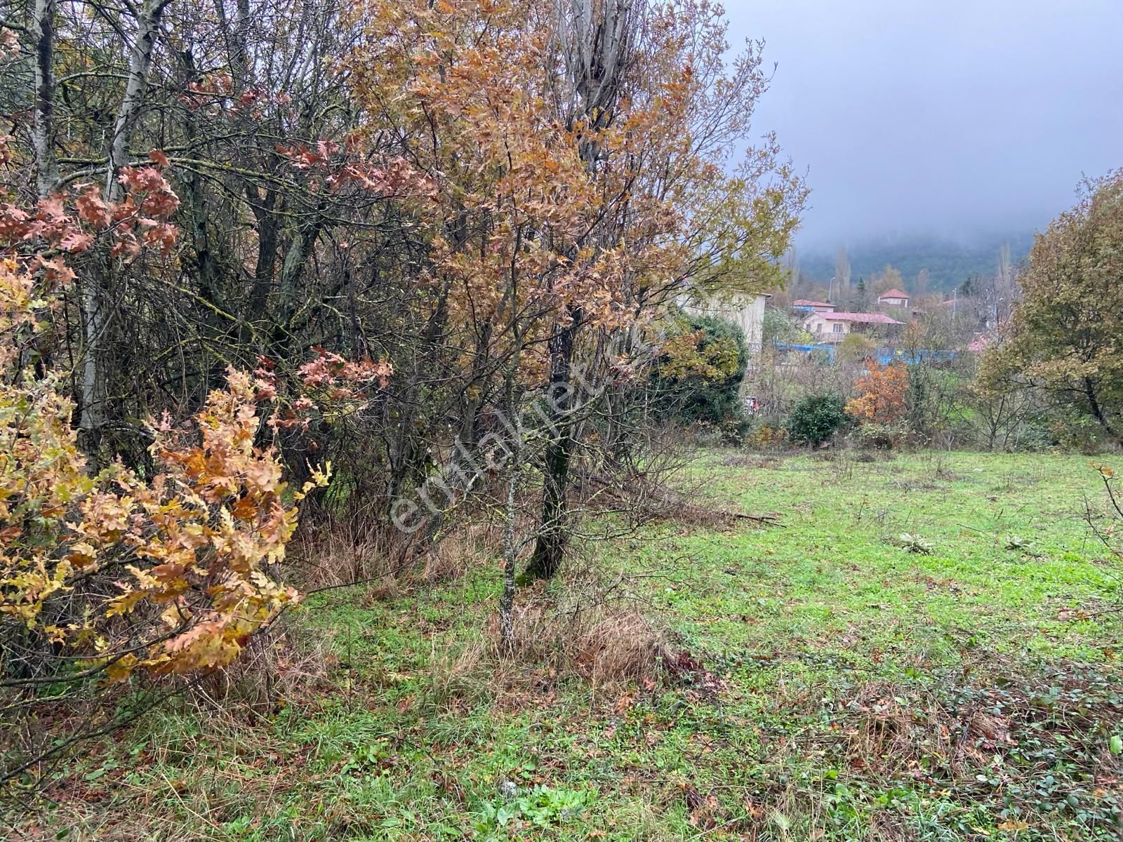 Bayındır Alankıyı Köyü 210 Ada 4 Parsel 1123 M2 Satılık Tarla - Görsel 8