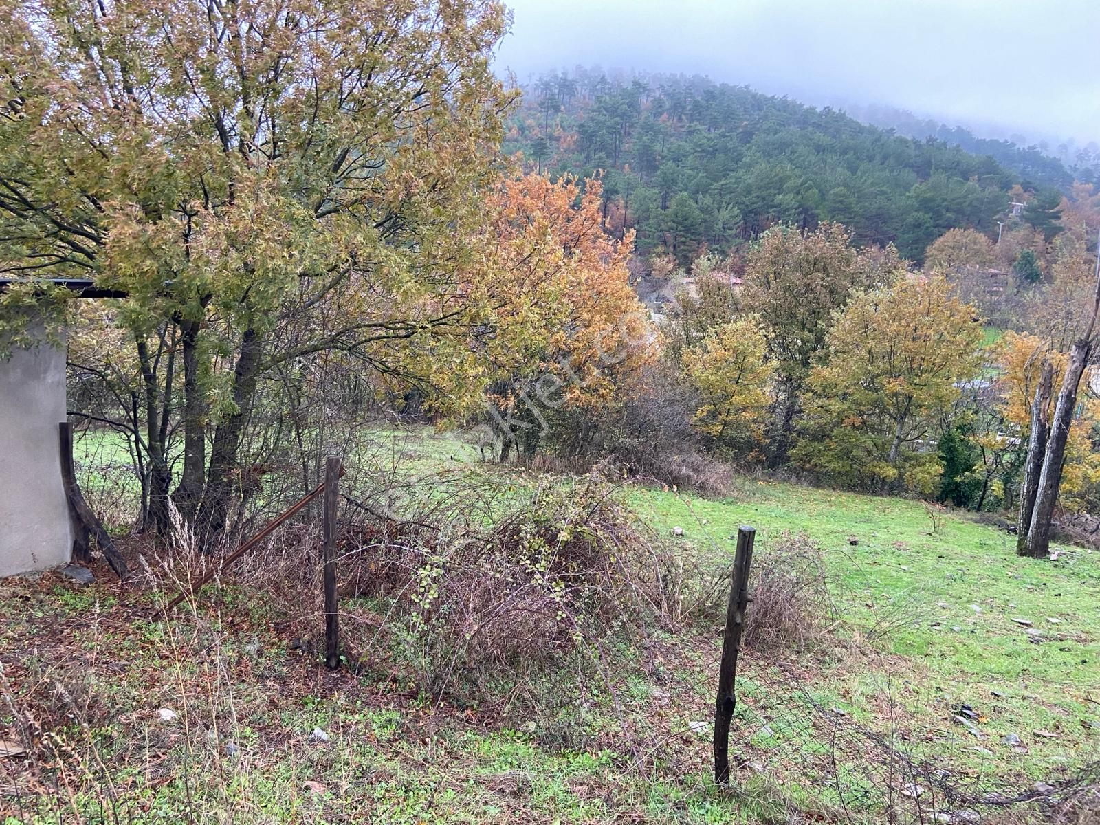 Bayındır Alankıyı Köyü 210 Ada 4 Parsel 1123 M2 Satılık Tarla - Görsel 6