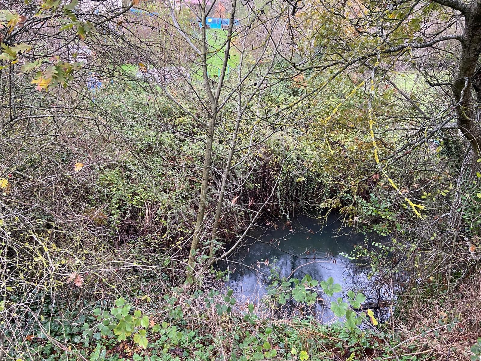 Bayındır Alankıyı Köyü 210 Ada 4 Parsel 1123 M2 Satılık Tarla - Görsel 21