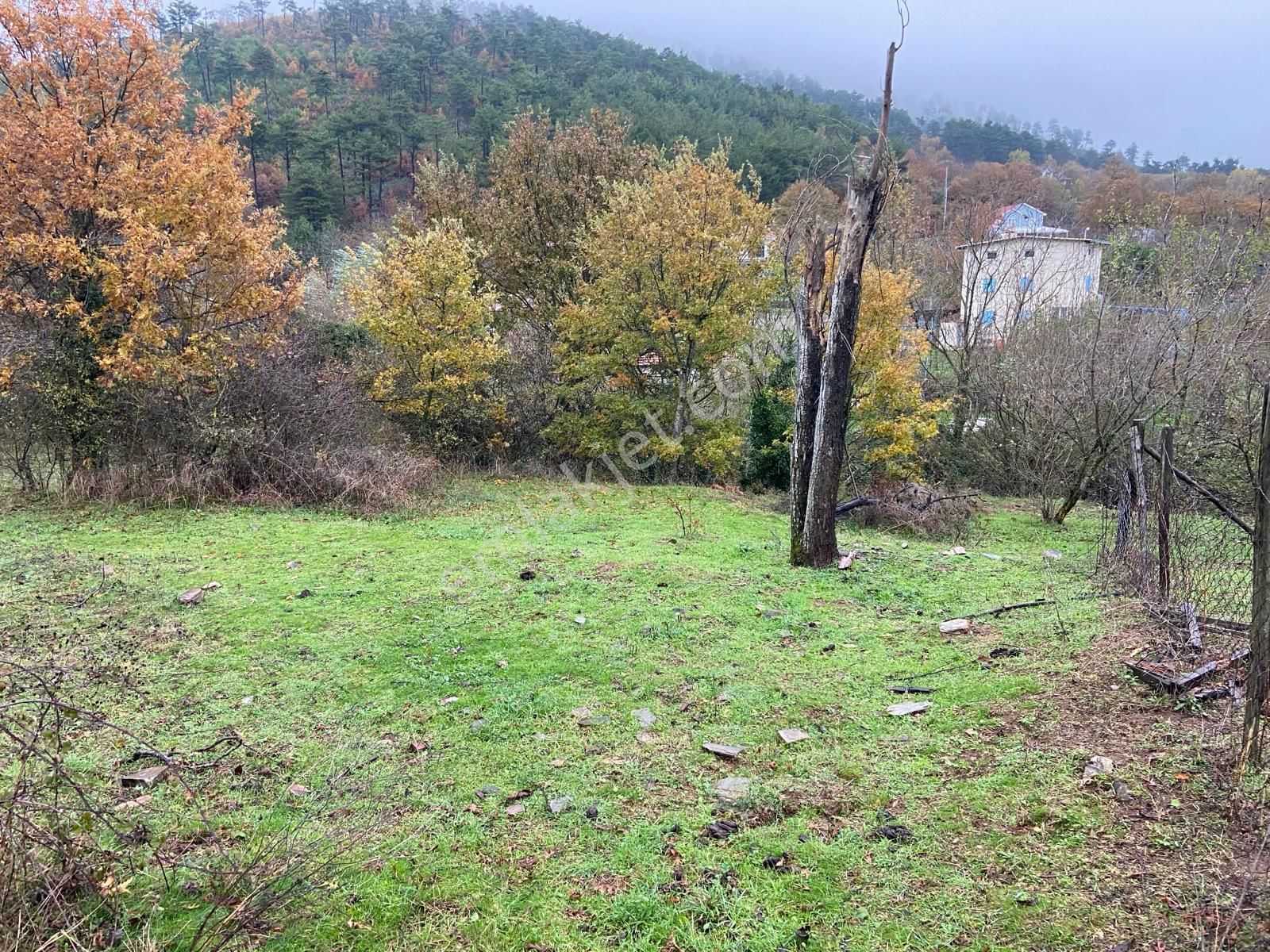 Bayındır Alankıyı Köyü 210 Ada 4 Parsel 1123 M2 Satılık Tarla - Görsel 7