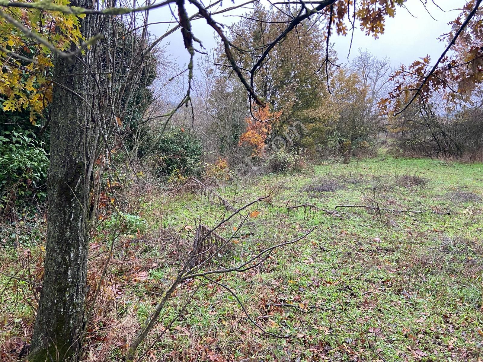 Bayındır Alankıyı Köyü 210 Ada 4 Parsel 1123 M2 Satılık Tarla - Görsel 3