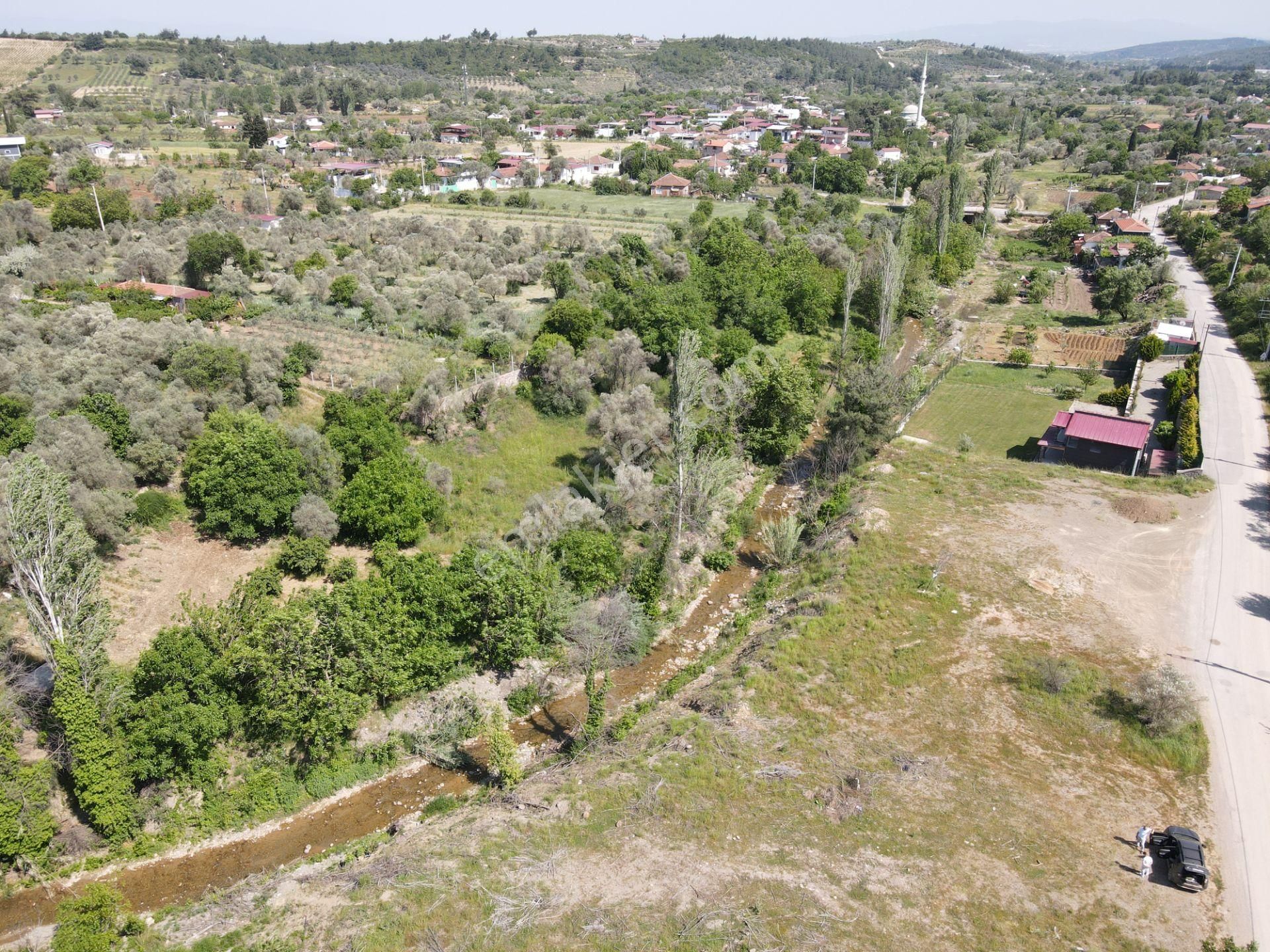 Varna Gayrimenkulden İzmir Çatalcada Satılık Tek Tapu 1.750 M2 Bahçe - Görsel 24