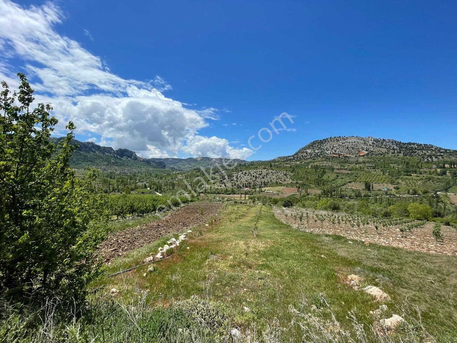 Erdemli Sorgun Satılık Konut İmarlı Ren'den Sorgun Da İmarlı Köy İçinde Satılık Arsa