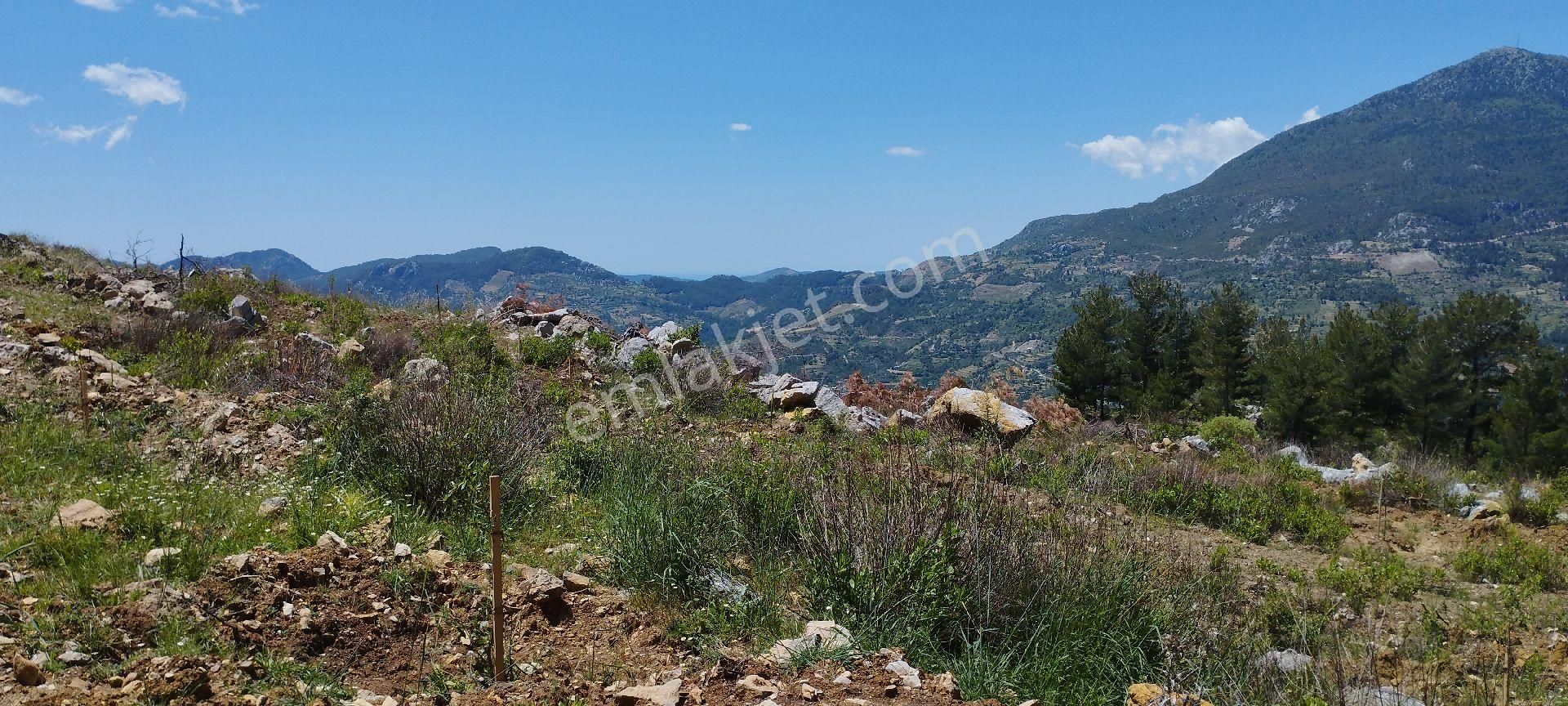 Çamlıca Mahallesinde 34 Dönüm Tek Tapu Satılık Tarla - Görsel 21