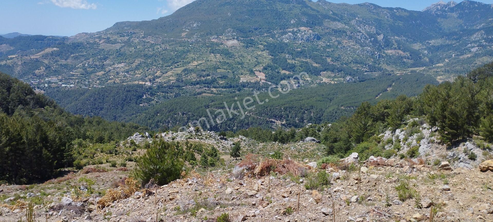 Çamlıca Mahallesinde 34 Dönüm Tek Tapu Satılık Tarla - Görsel 2