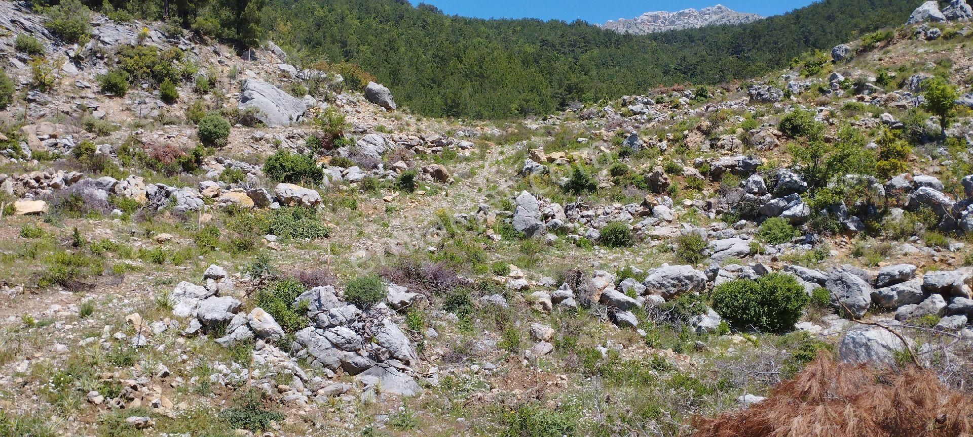 Çamlıca Mahallesinde 34 Dönüm Tek Tapu Satılık Tarla - Görsel 7