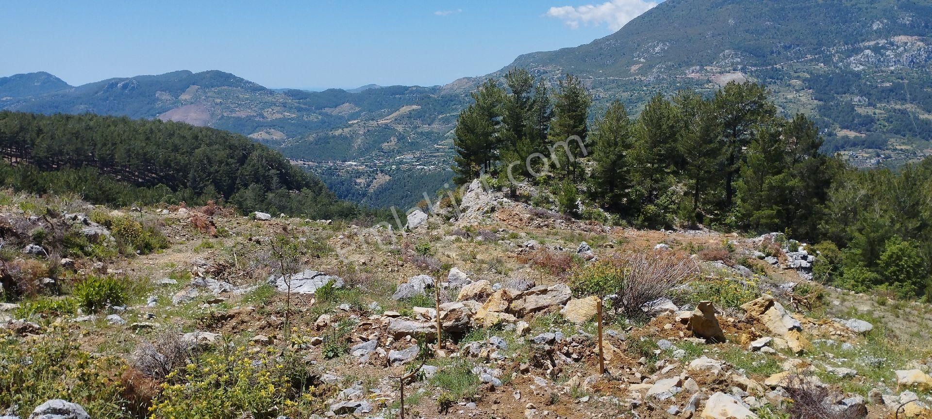Çamlıca Mahallesinde 34 Dönüm Tek Tapu Satılık Tarla - Görsel 20