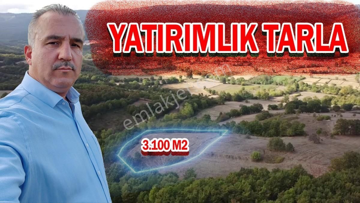 Gönen Geyikli Satılık Tarla 3.100 M2 Yatırımlık Tarla Doğası Süper Hakim Tepede Hobi Bahçesi