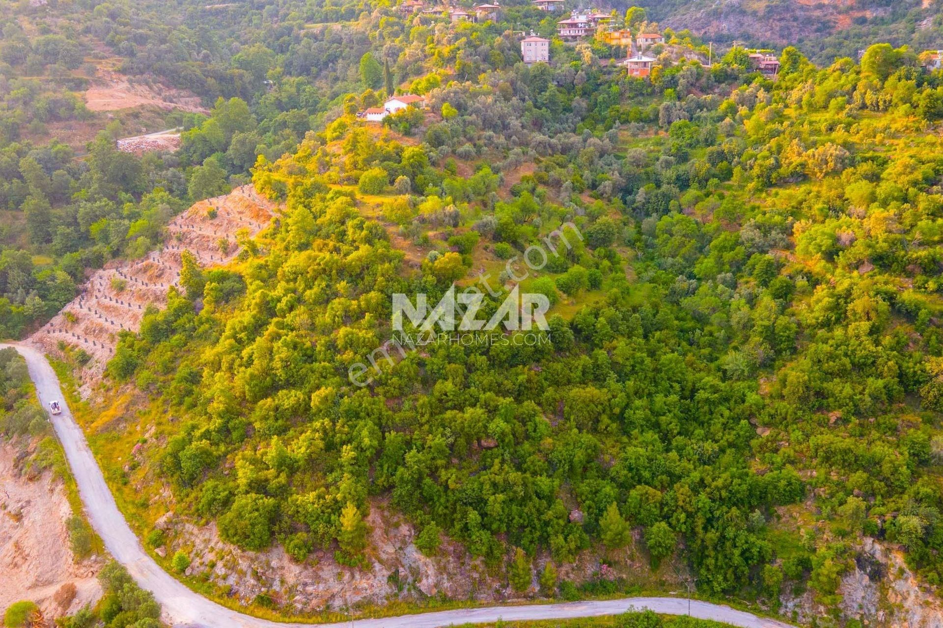 Alanya Gümüşgöze Satılık Tarla Alanya Gümüşgöze'de Satılık 7.494 m2 Tarla