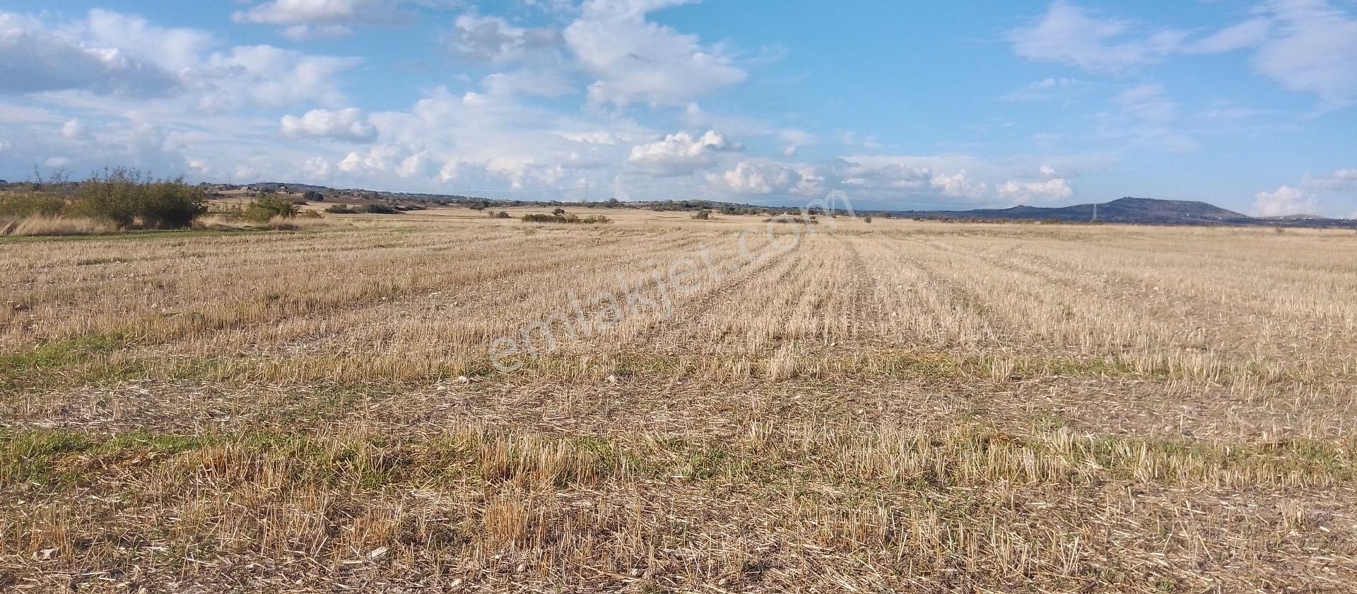 Kırklareli Merkez Dolhan Köyü Satılık Tarla Kırklareli Dolhan Köyünde Resmi Yola Cepheli 2.150 M2 Tarla