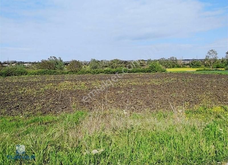 Kaleiçi Mah 10.322.67 M2 Satılık Arsa - Görsel 6