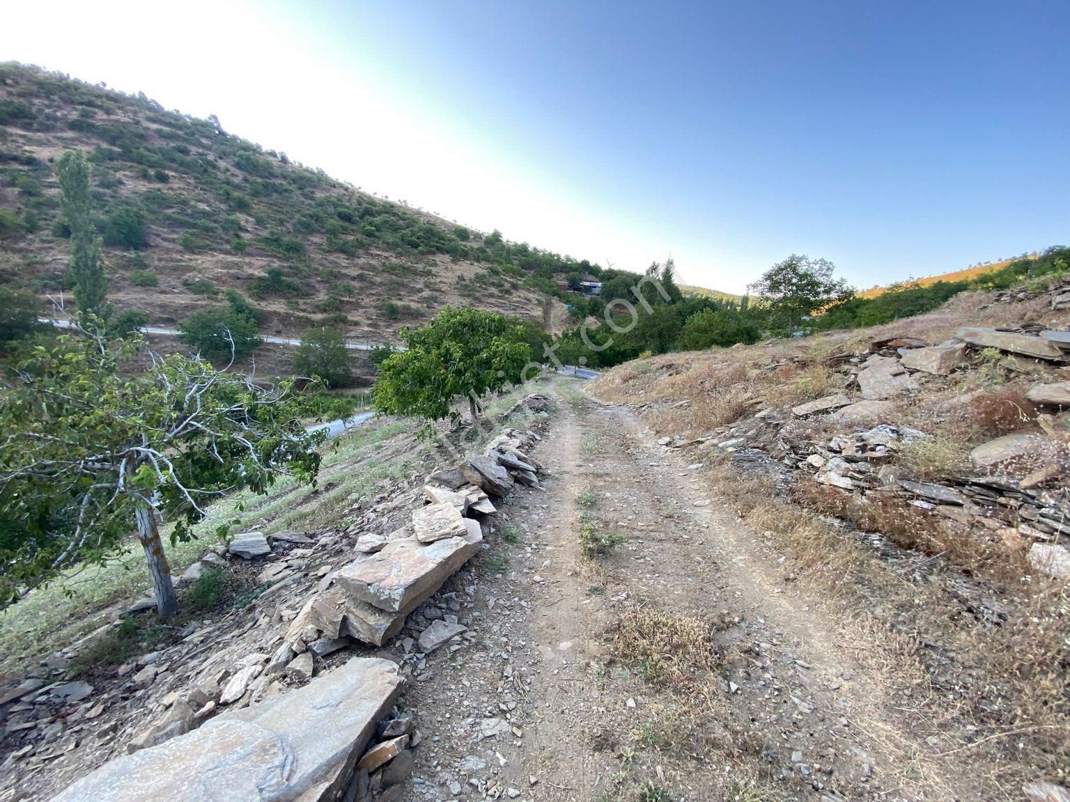 Tire Satılık Cevizlik Dağdere Köyü 5500 M2 Tek Tapu Asfalt Yol Kenarı - Görsel 11