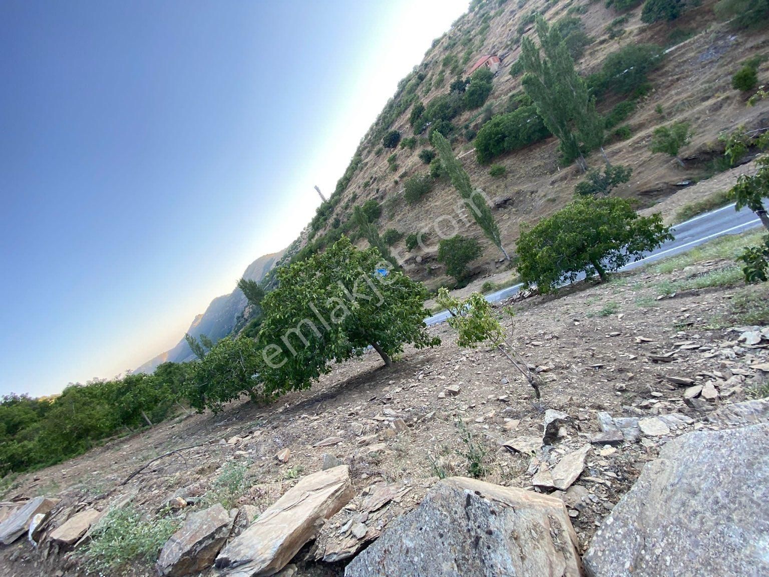 Tire Satılık Cevizlik Dağdere Köyü 5500 M2 Tek Tapu Asfalt Yol Kenarı - Görsel 9