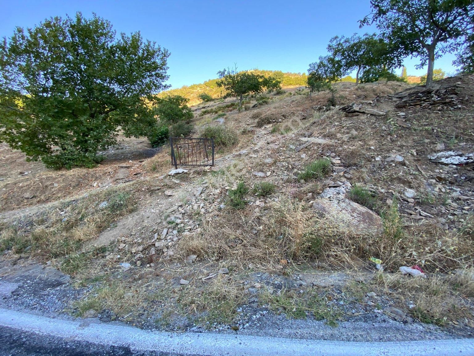 Tire Satılık Cevizlik Dağdere Köyü 5500 M2 Tek Tapu Asfalt Yol Kenarı - Görsel 7