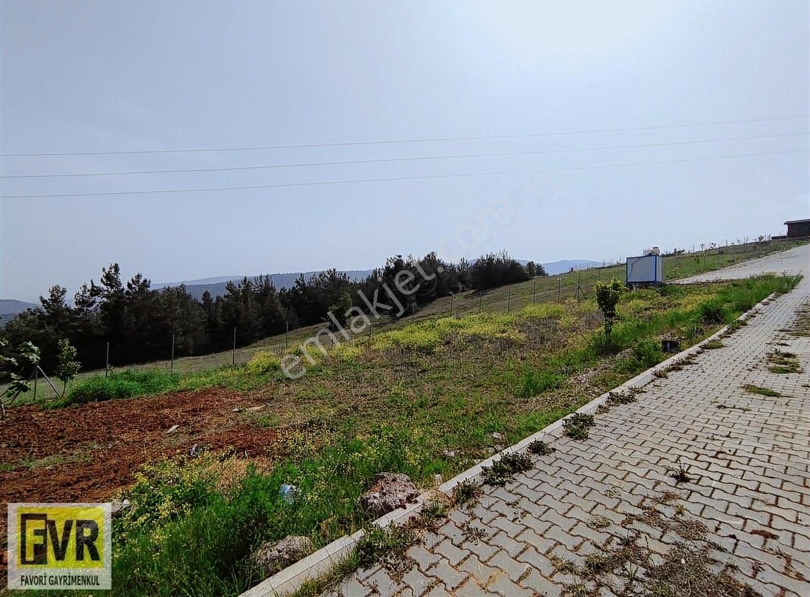 Favori'den Dağyenice Misibaşı Mevkii 250 M² Tarla ( Arsa ) - Görsel 29