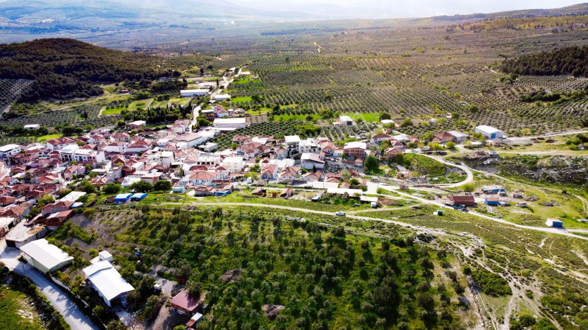 Akhisar Tütenli Satılık Konut İmarlı  MANİSA AKHİSAR TÜTENLİ (MİLİNGE) MAHALLESİNDE SATILIK İMARLI ARSA