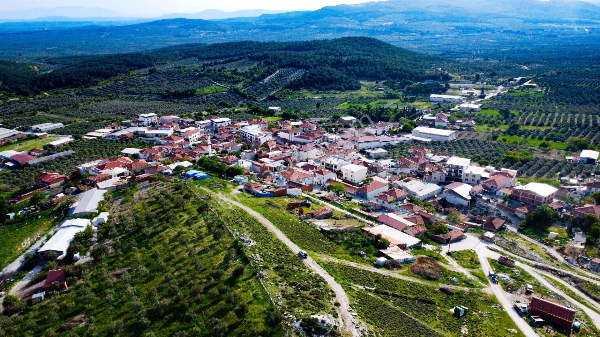 Akhisar Tütenli Satılık Konut İmarlı  MANİSA AKHİSAR TÜTENLİ (MİLİNGE) MAHALLESİNDE SATILIK İMARLI ARSA