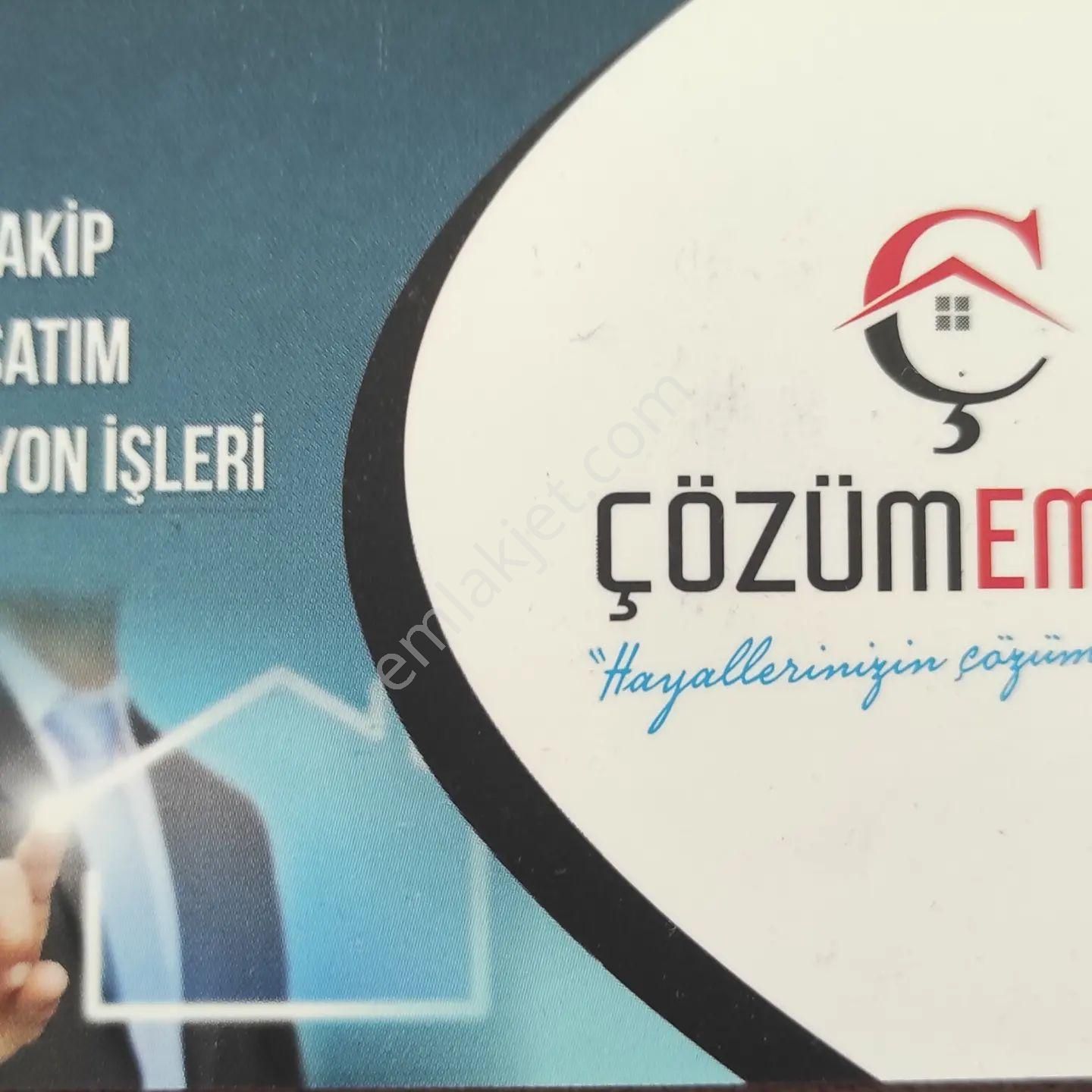 Kırkağaç Musahoca Satılık Zeytinlik BEĞENECEĞİNİZ ZEYTİNLİK