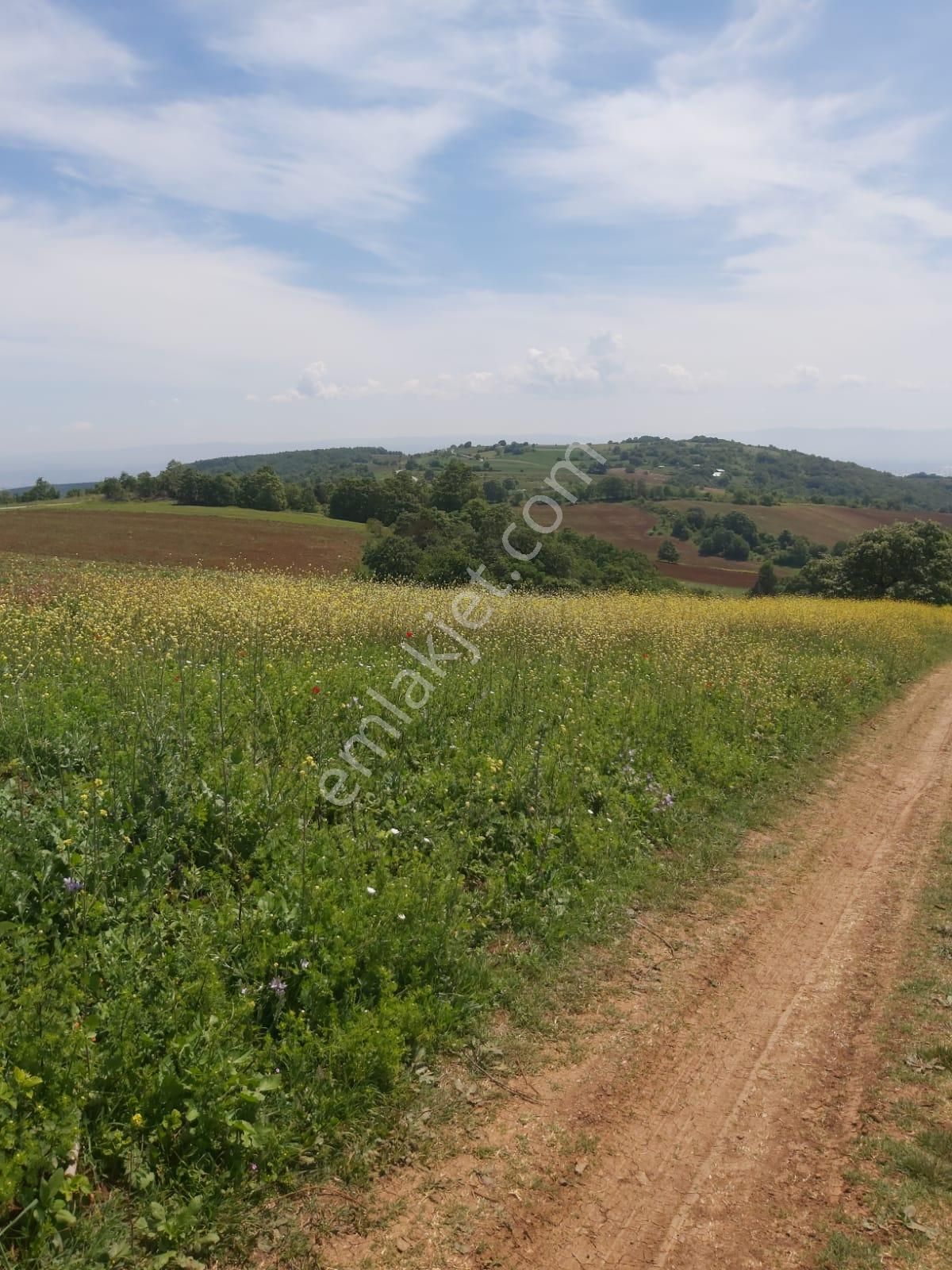İnegöl Şehitler Mevkiinde Hafif Eğimli Önü Açık Doğa Ve Şehir Manzaralı 5700m2 Tarla Satılıktır - Görsel 5