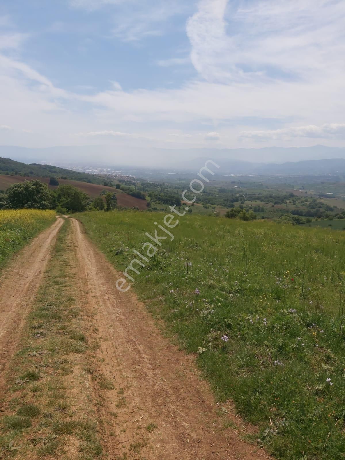 İnegöl Şehitler Mevkiinde Hafif Eğimli Önü Açık Doğa Ve Şehir Manzaralı 5700m2 Tarla Satılıktır - Görsel 6