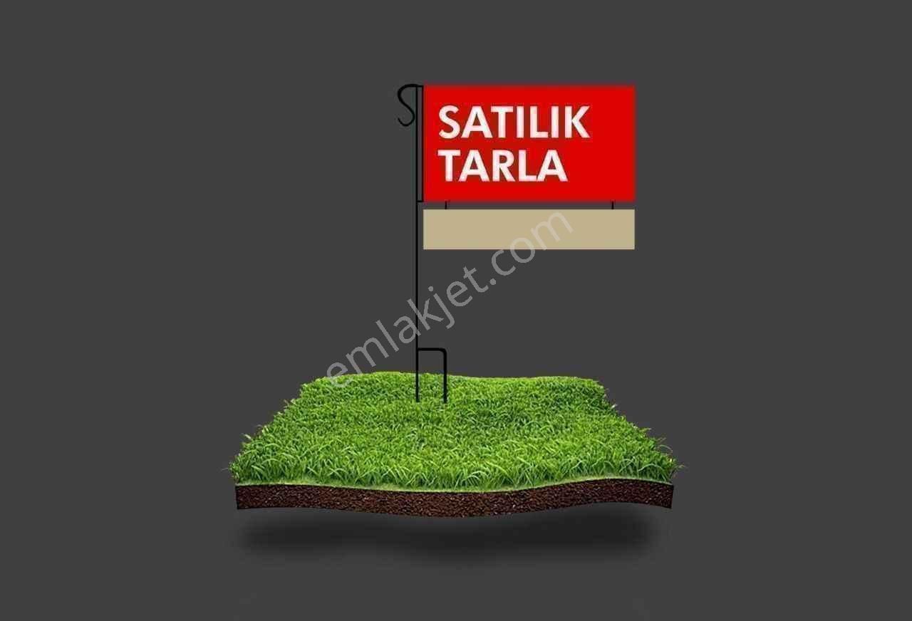 Bergama Kaşıkçı Satılık Tarla  BERGAMA KAŞIKCILAR KÖYÜNDE SATILIK 7.647 M2 TARLA