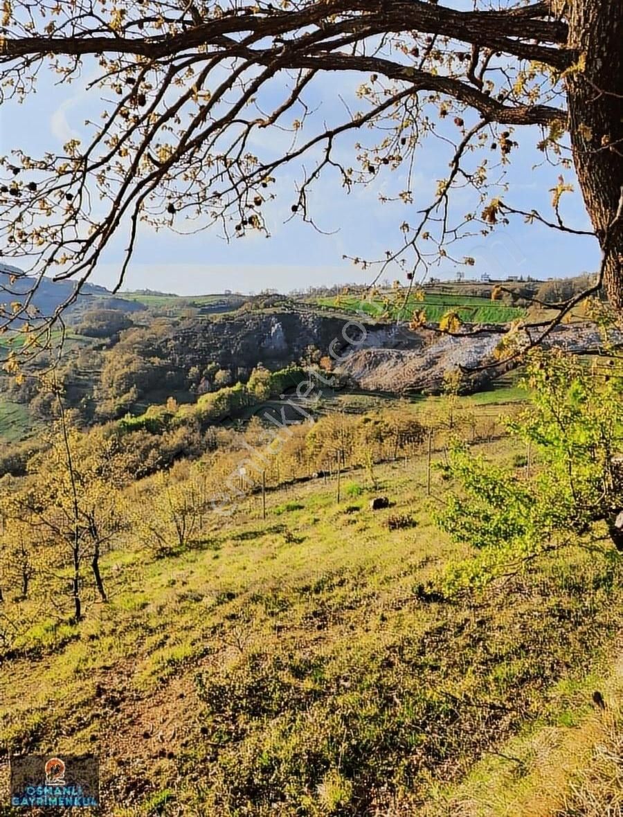 Hobi Bahçesi Yapımına Uygun Manzaralı Hesaplı Satılık Arazi - Görsel 16