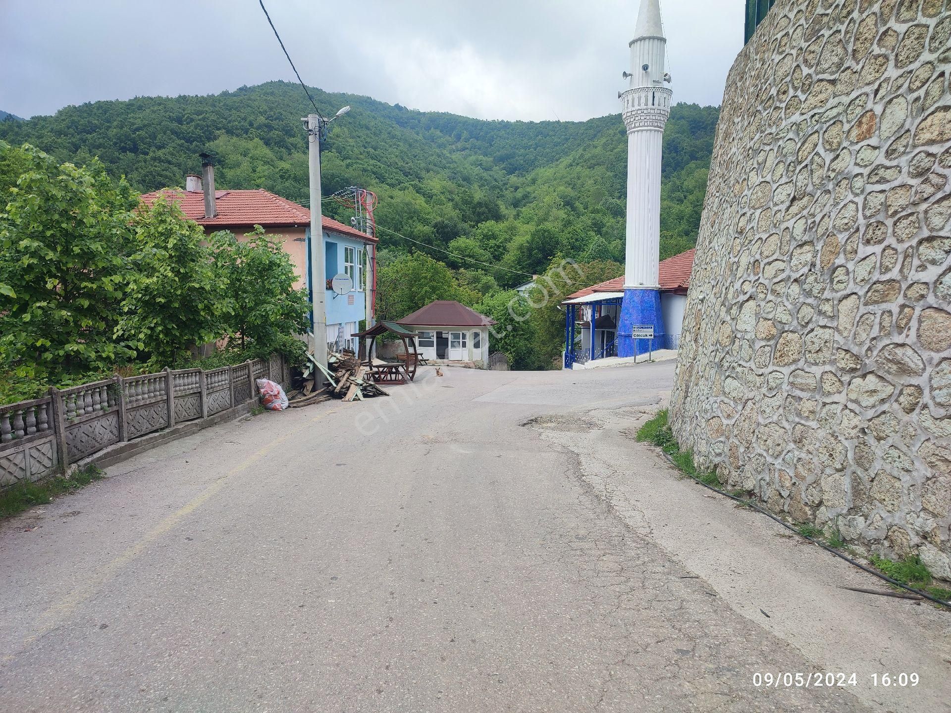 Karamürsel Senaiye Satılık Köy Evi Bahçeli köy evi satılık 