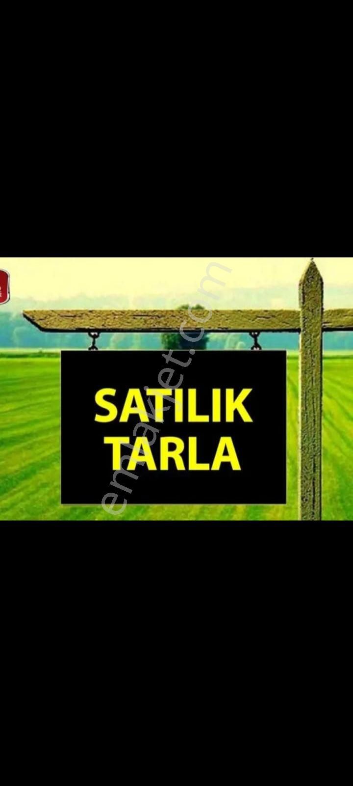 Ortaca Sarıgerme Satılık Tarla MUĞLA ORTACA SARIGERME TARLA 