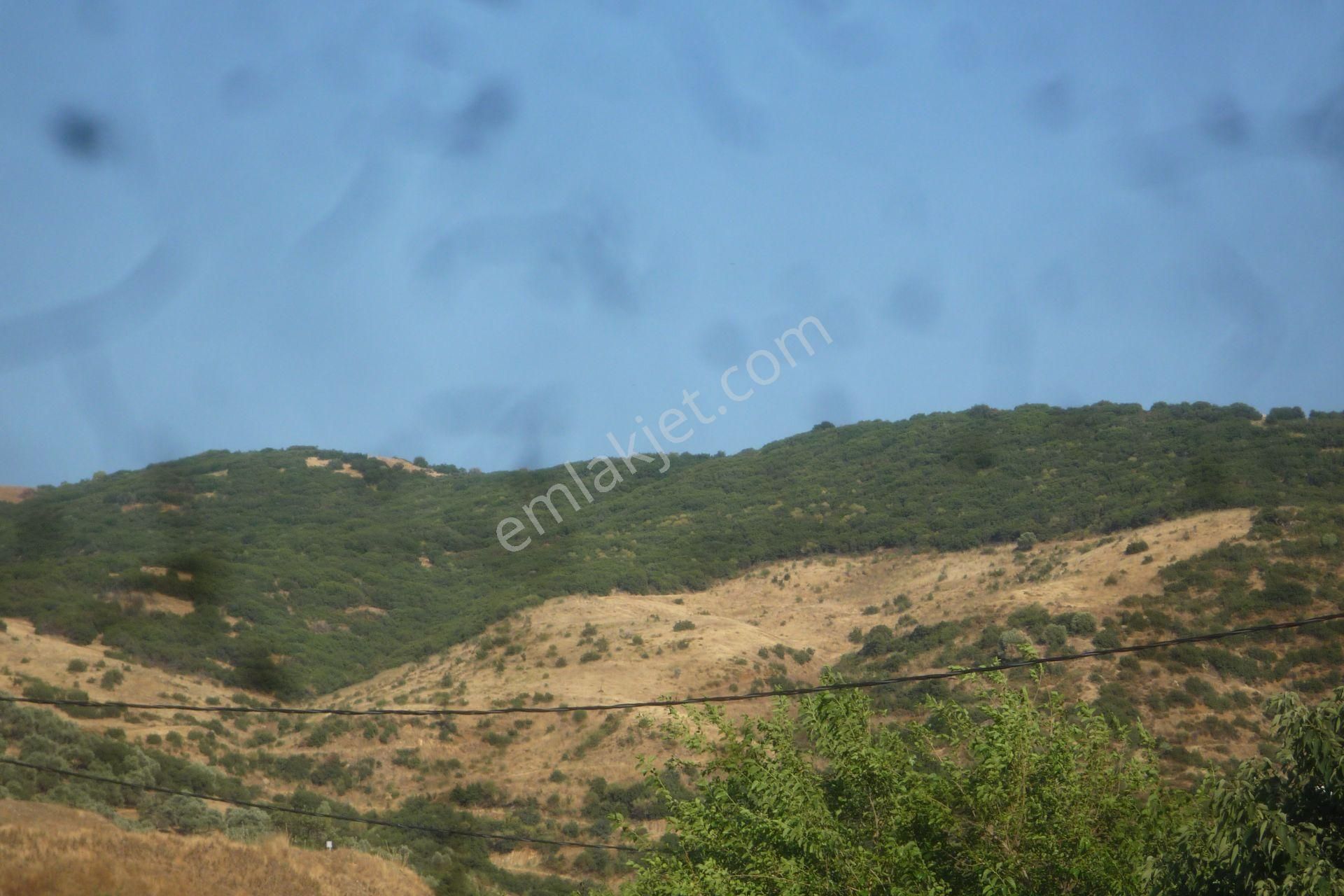 İzmir Torbalı Gold Emlaktan Satılık Marjinal Tarla - Görsel 4