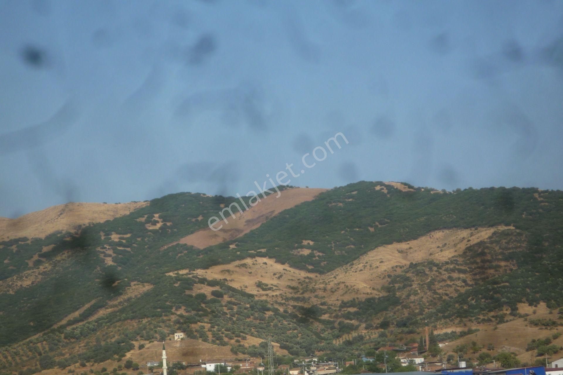 İzmir Torbalı Gold Emlaktan Satılık Marjinal Tarla - Görsel 2