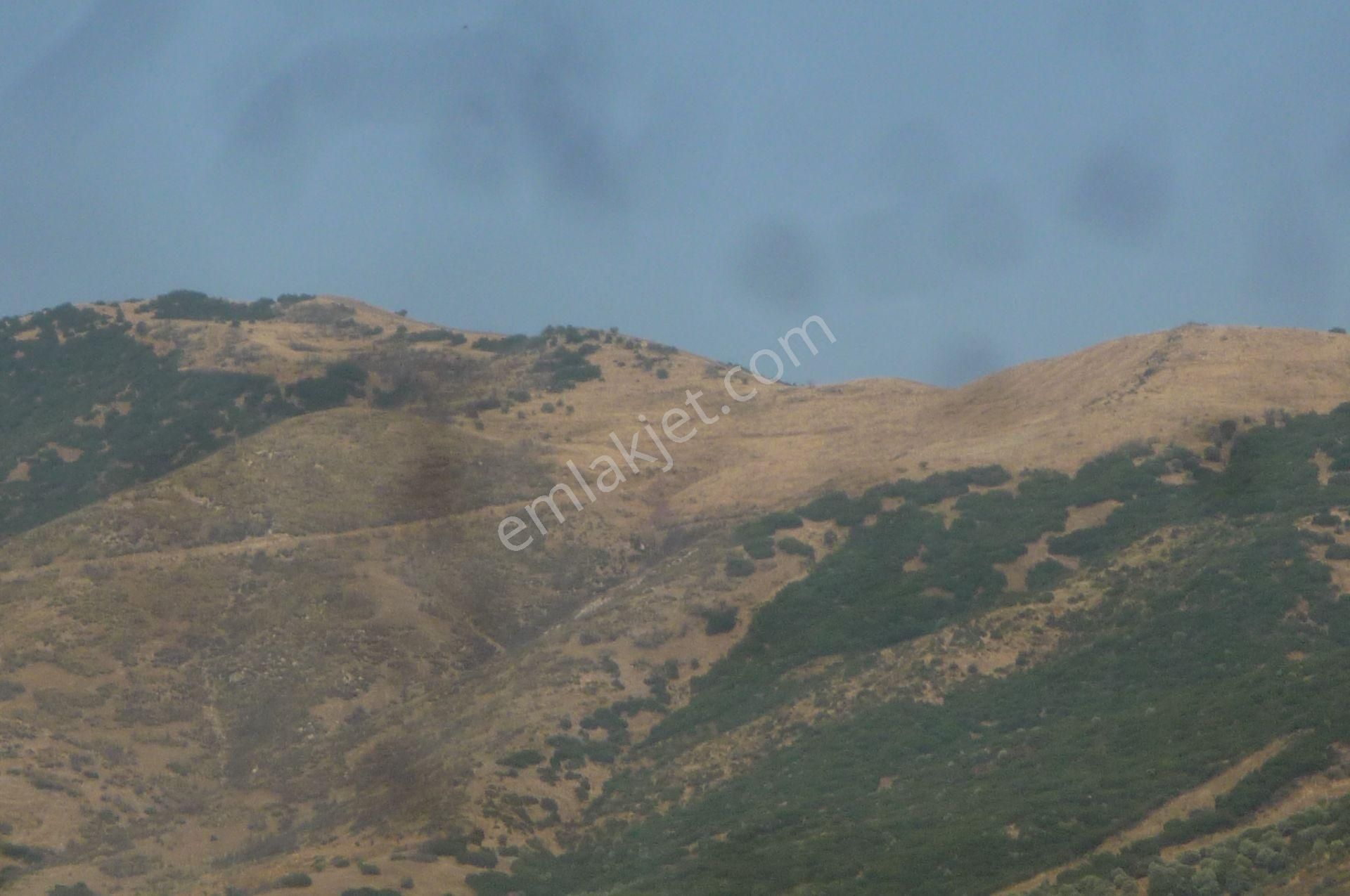 İzmir Torbalı Gold Emlaktan Satılık Tarla - Görsel 2