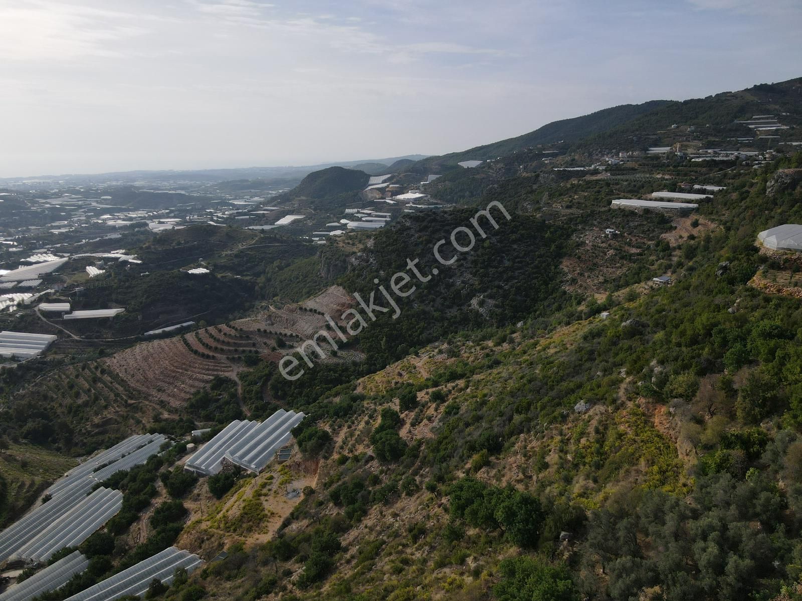 Alanya Yeniköy Satılık Tarla DENİZ MANZARALI SATILIK TARLA