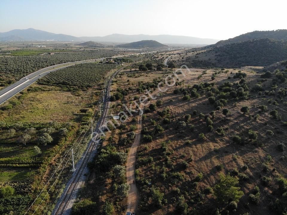 Bayındır Arıkbaşı Satılık Tarla  BAYINDIR'DA SATILIK TARLA