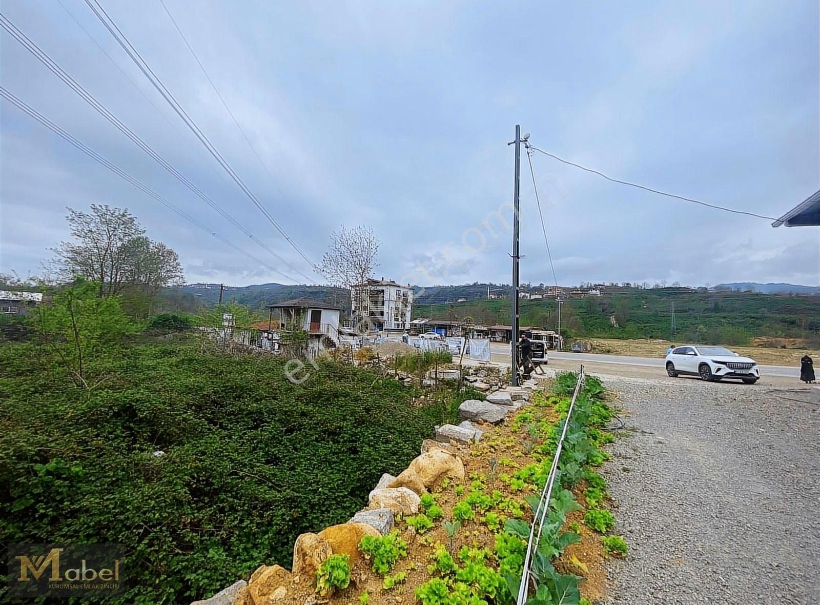 Fatsa Saraytepe Satılık Tarla MABEL GAYRİMENKUL KUMRU -KORGAN YOLU -ANA YOLA CEPHE FIRSAT ARSA