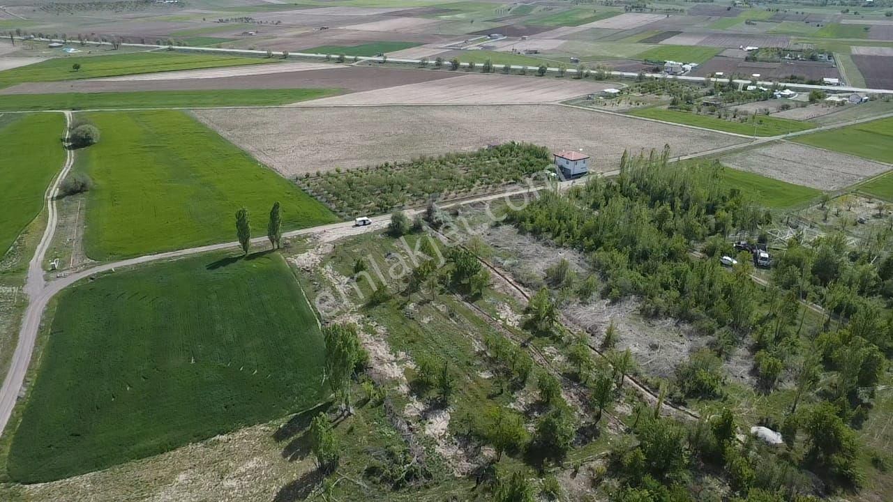 Meram Hatunsaray Satılık Tarla HATUNSARAY MHS SİNDE MÜSTAKİL TAPULU BAHÇEMİZ 