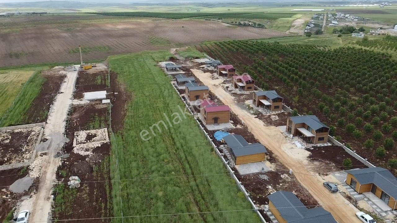 Adıyaman Merkez Paşamezrası Köyü Satılık Tarla HAK EMLAKTAN PAŞAMEZRASINDA SATILIK TARLA 